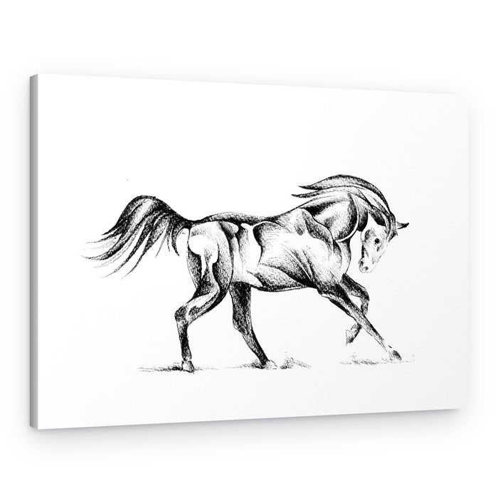 Stylized Horse Drawing – Canvas Print