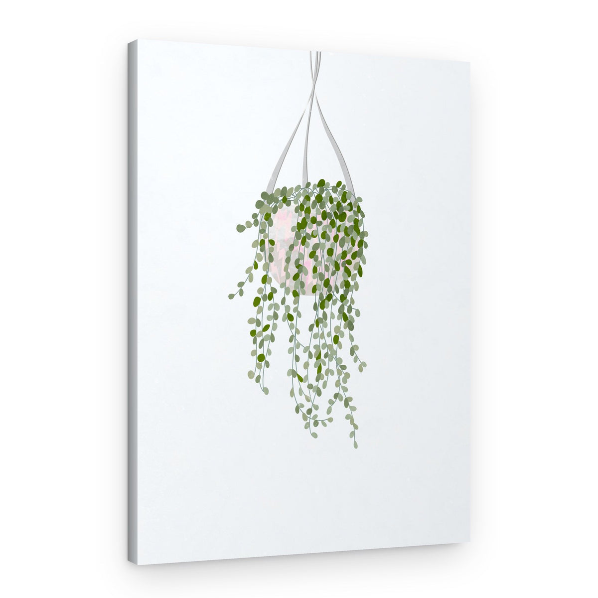 Minimalist Hanging Plant – Canvas Print