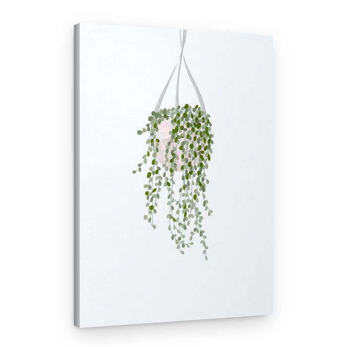 Minimalist Hanging Plant – Canvas Print