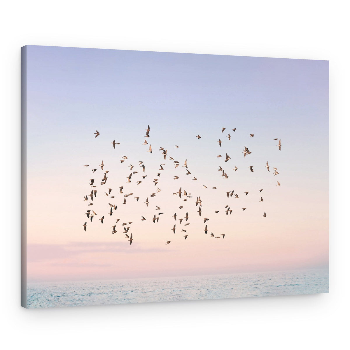 Sunset Flight – Canvas Print