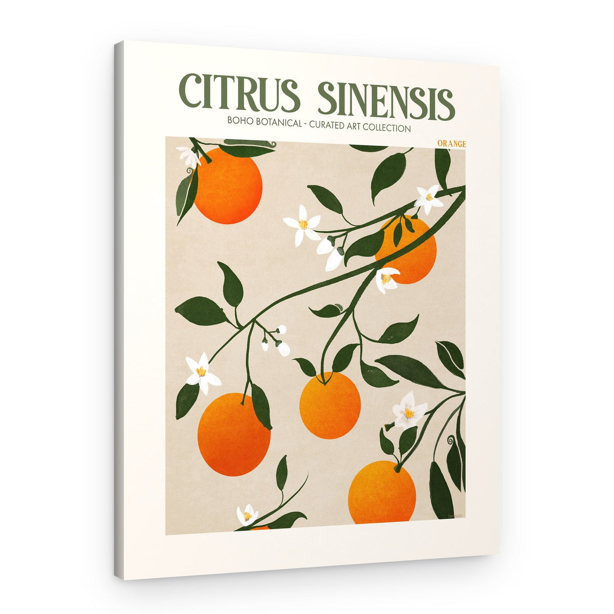 Orange Elegance – Canvas Print
