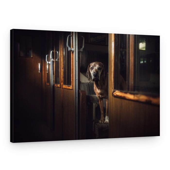 Old Dog Classic Train – Canvas Print