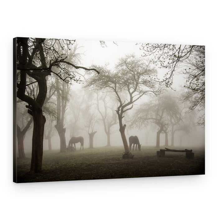 Misty Woodland Horses – Canvas Print