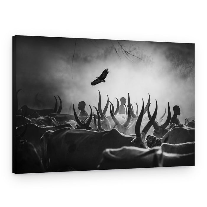 African Cattle Dawn – Canvas Print