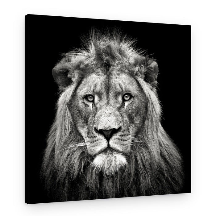 Majestic Lion Portrait – Canvas Print