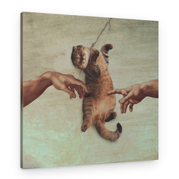The Creation of Cat – Canvas Print