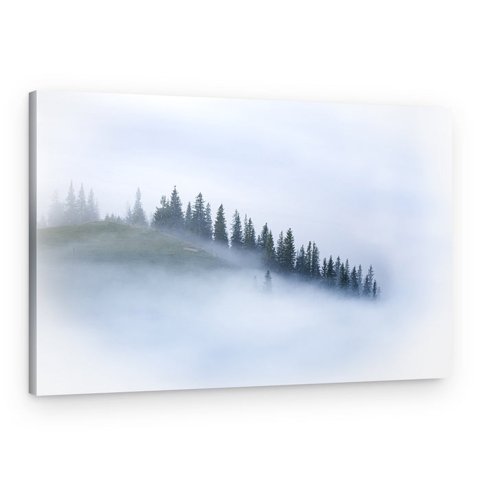 Misty Forest Serenity – Canvas Print