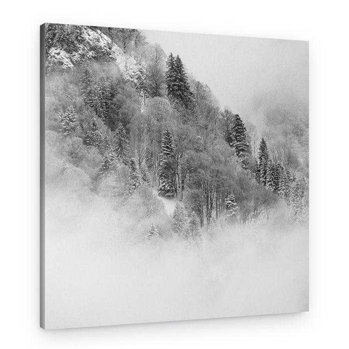 Misty Winter Forest – Canvas Print