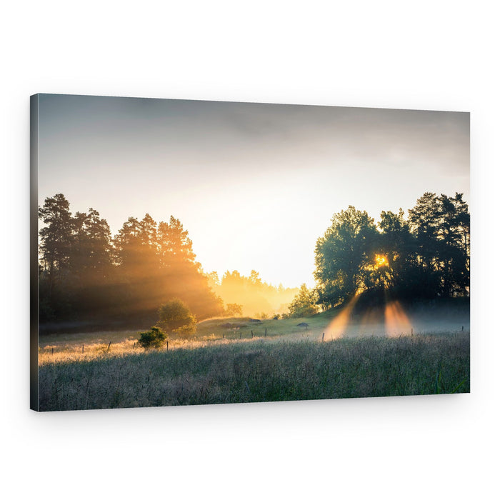 Misty Morning Landscape – Canvas Print