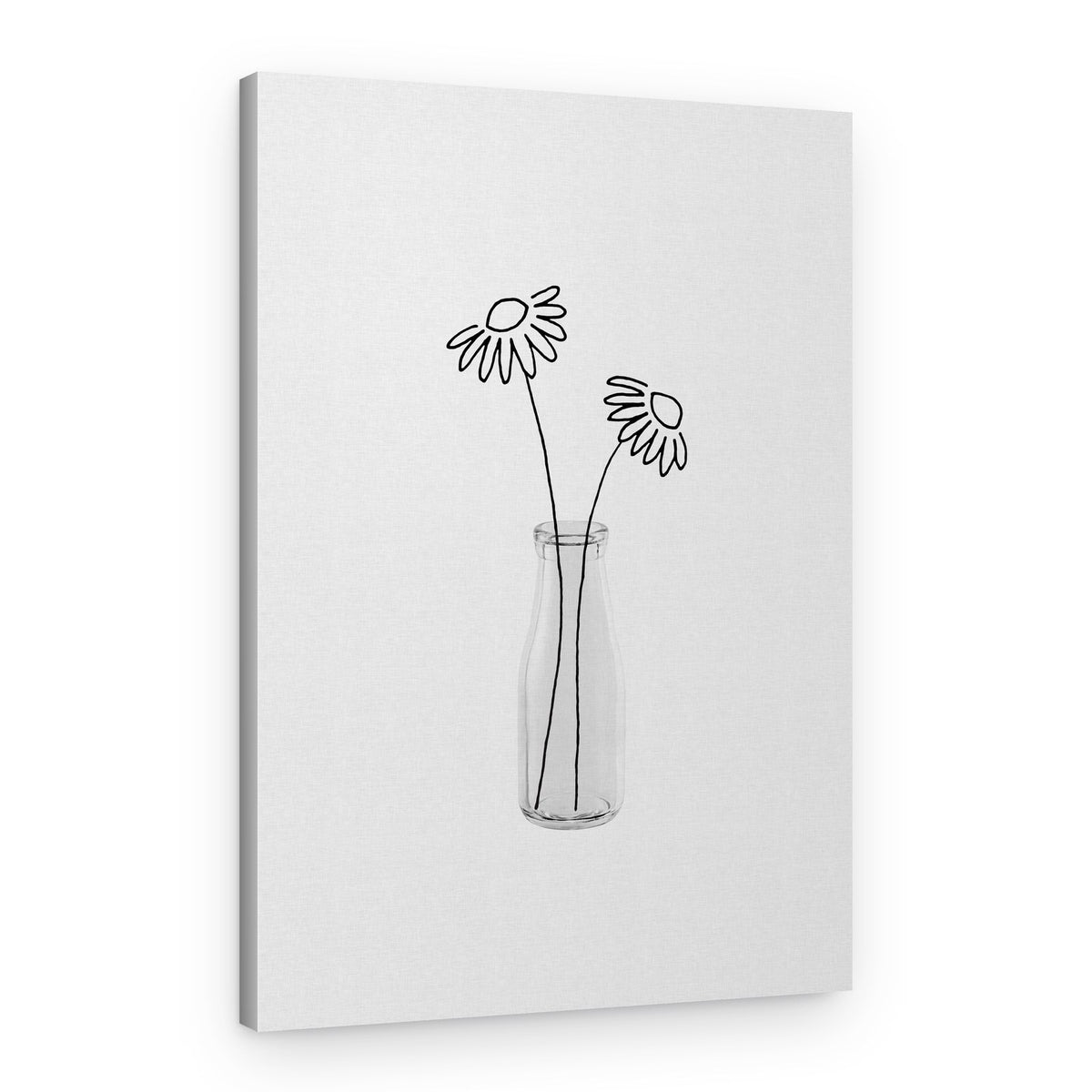 Line Art Daisies – Canvas Print