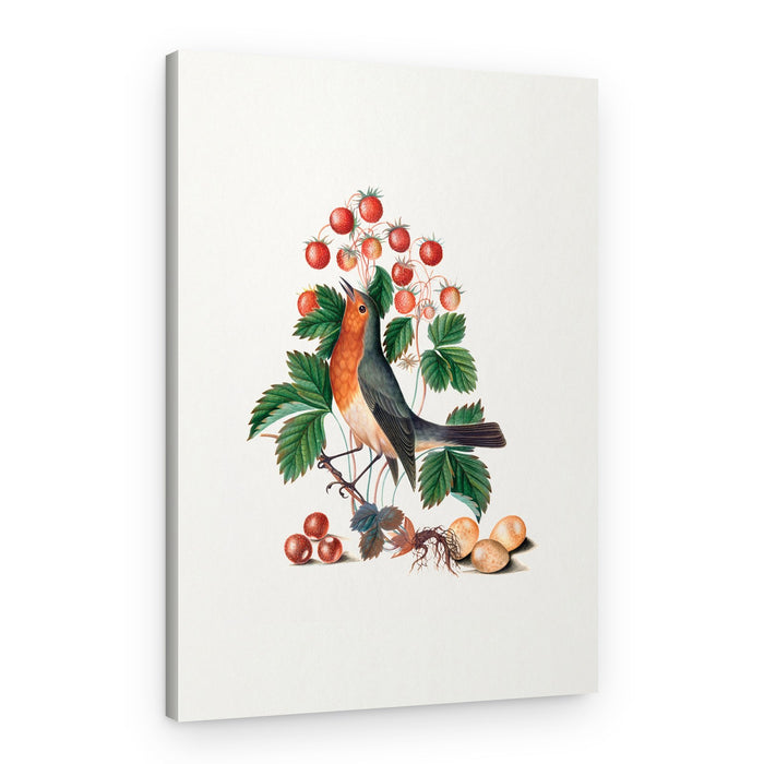 European Robin and Wild Strawberry – Canvas Print