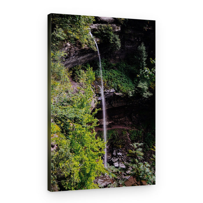 Tall Forest Waterfall – Canvas Print