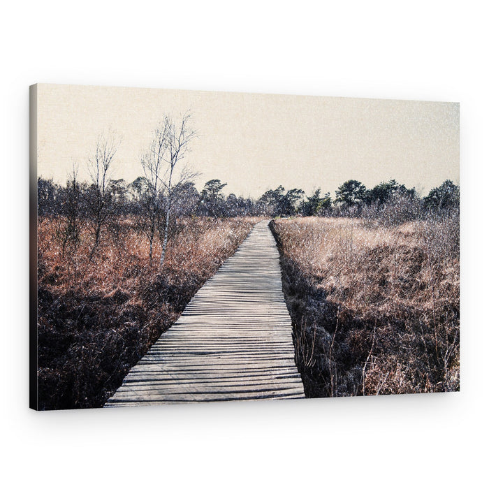 Serene Wetlands Boardwalk – Canvas Print