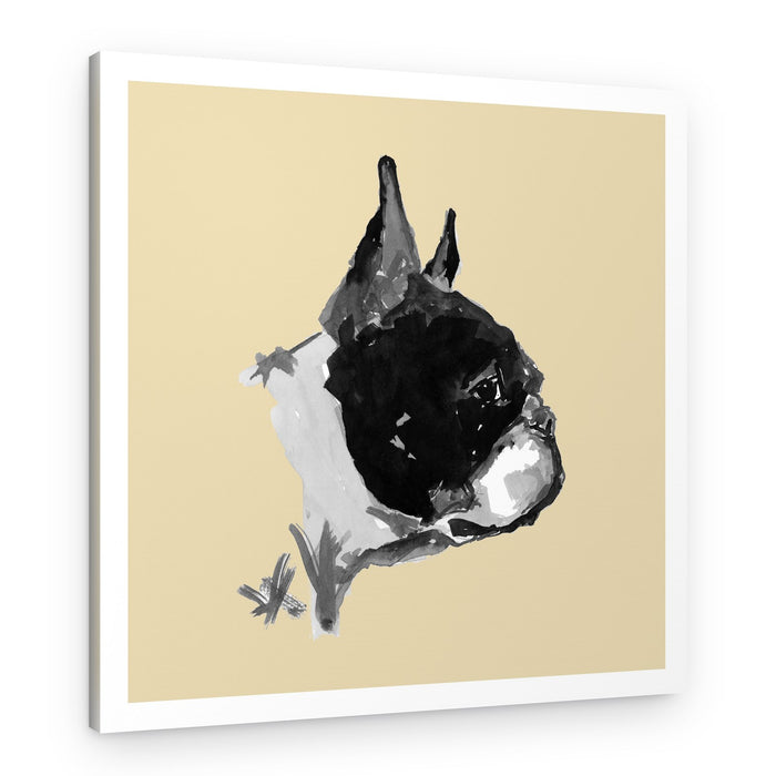 Expressive Boston Terrier Portrait – Canvas Print