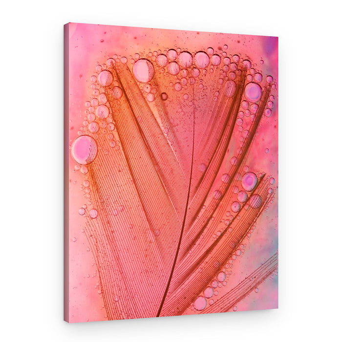 Pink Feather Bubbles – Canvas Print