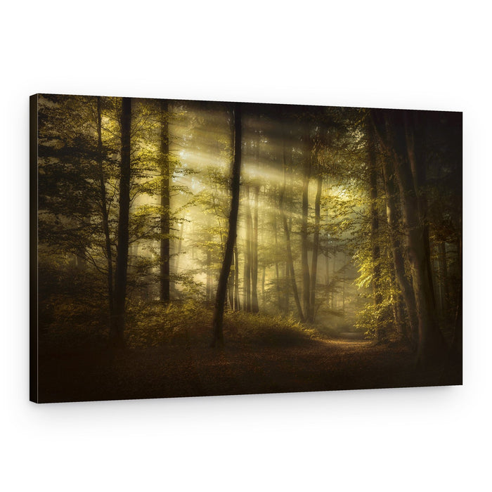 Ethereal Woodland Path – Canvas Print