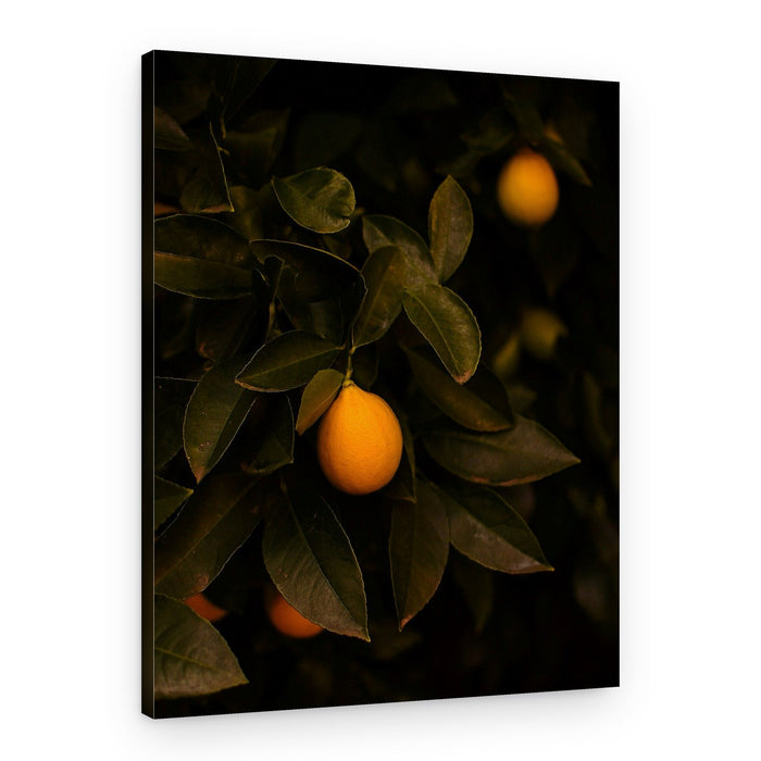 Moody Lemon Branch – Canvas Print