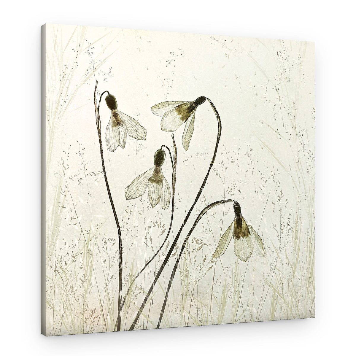 Springtime – Canvas Print
