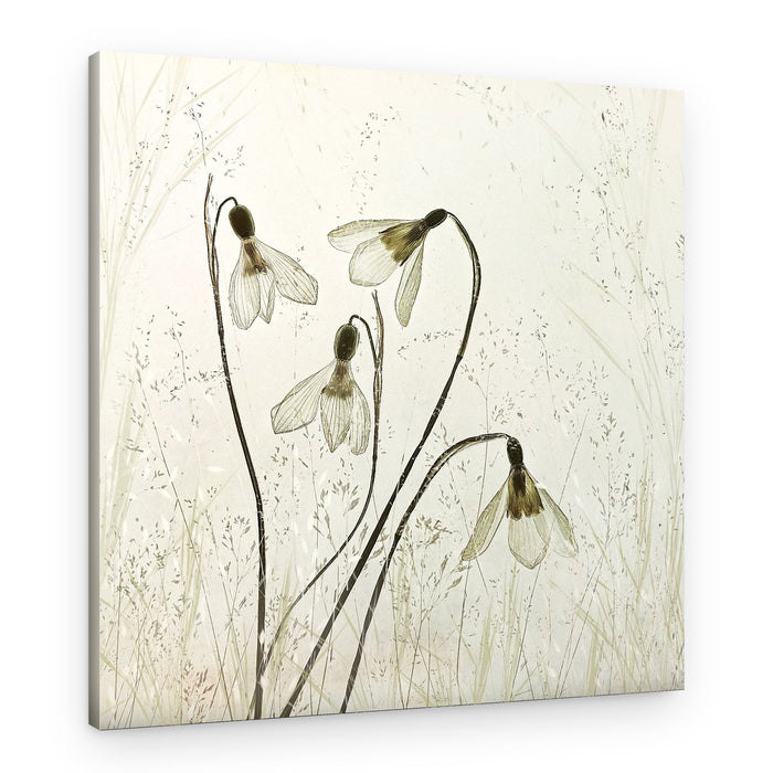 Springtime – Canvas Print