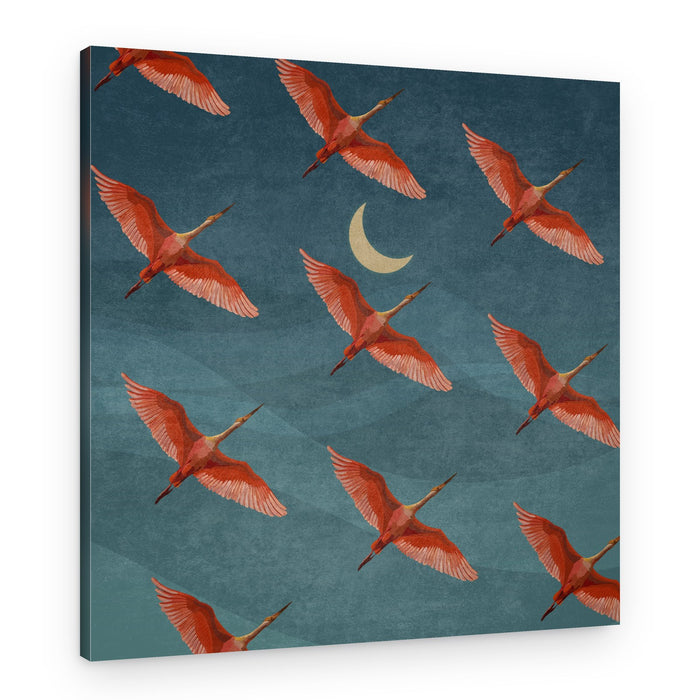 Crimson Flight Nights – Canvas Print