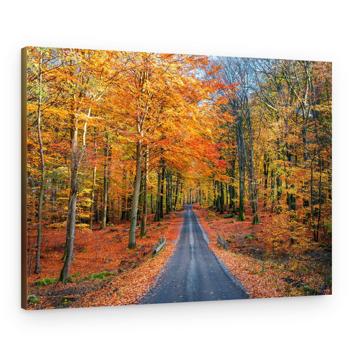 Vibrant Autumn Drive – Canvas Print