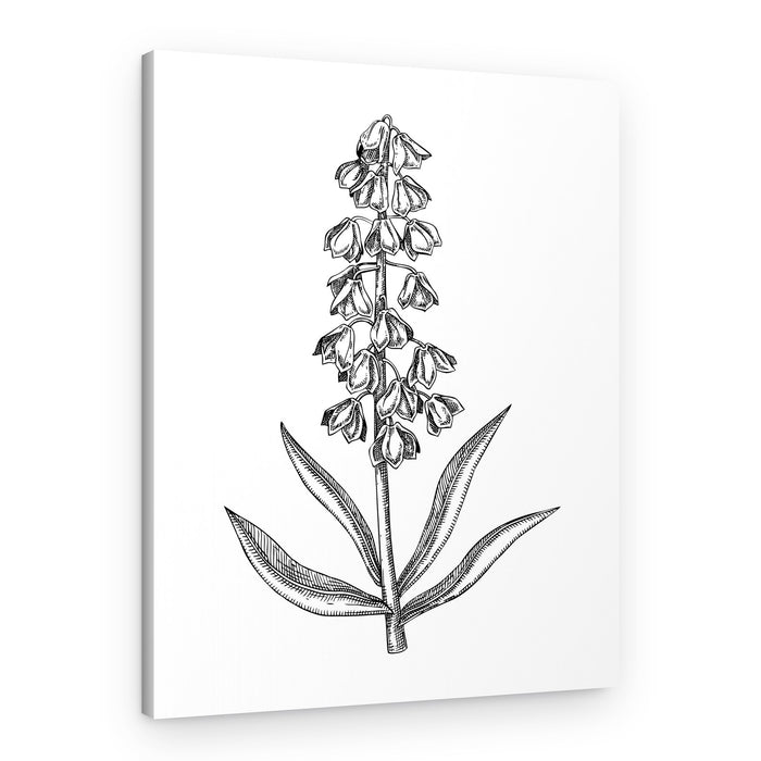Elegant Botanical Bloom – Canvas Print