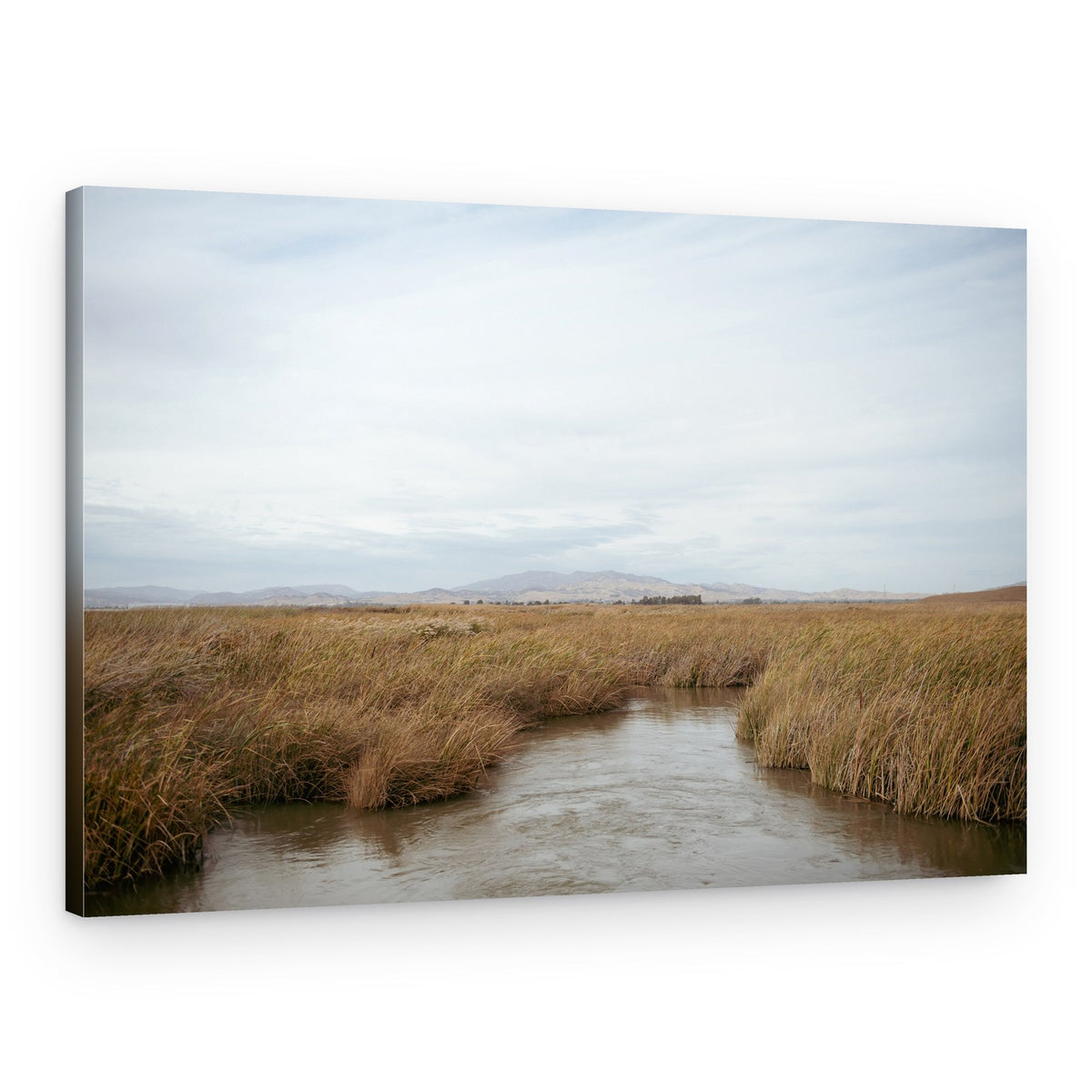 Winding River Through Marsh – Canvas Print