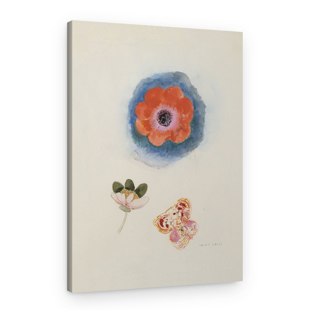 Etude de fleurs – Canvas Print