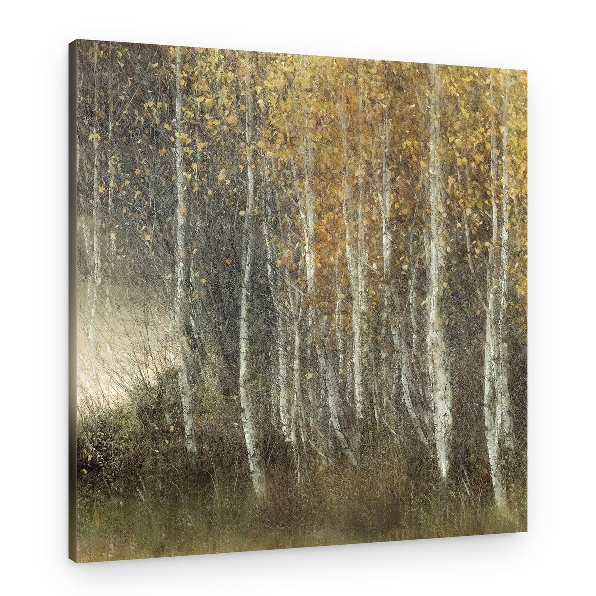 Many leaves fall – Canvas Print