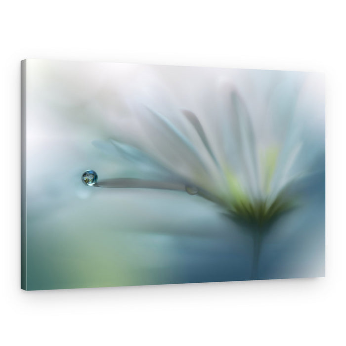 Delicate Water Drop – Canvas Print