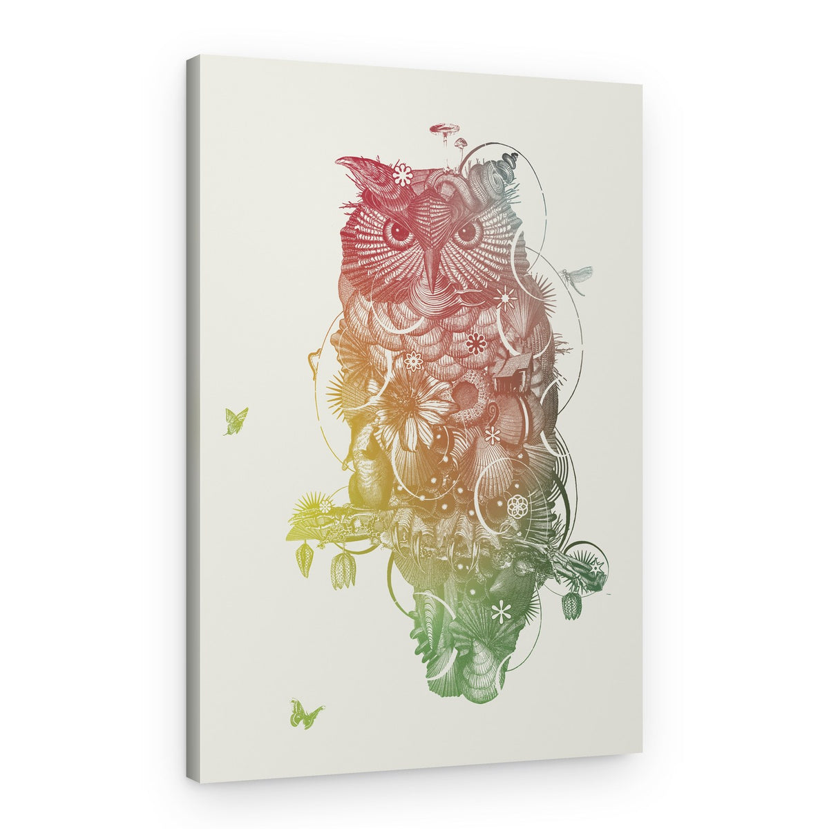 Intricate Rainbow Owl – Canvas Print