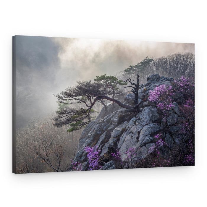 Misty Mountain Flowers – Canvas Print