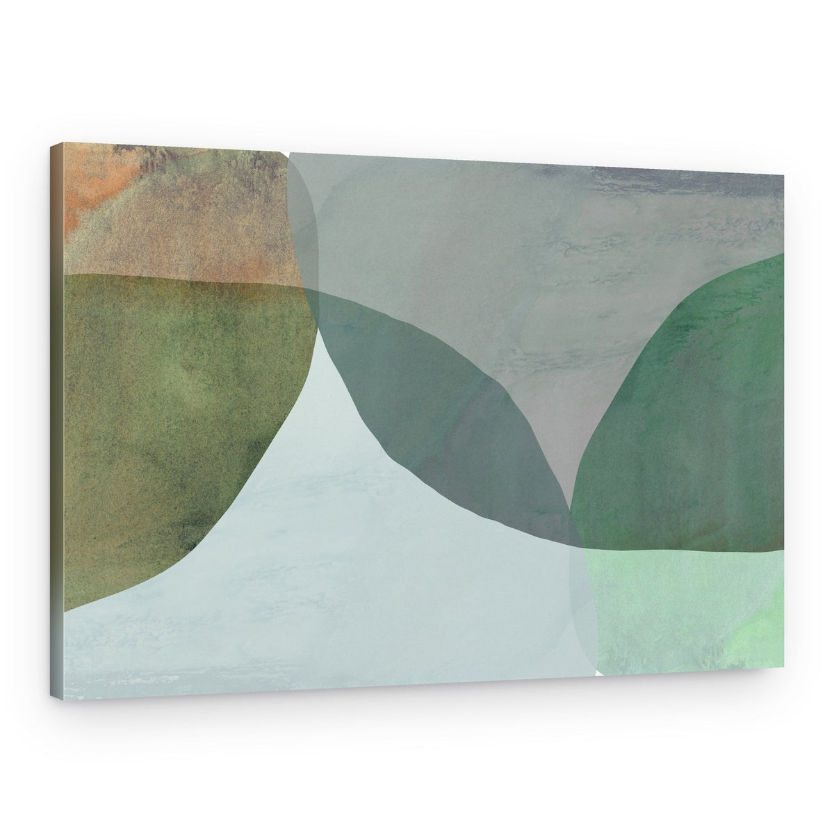 Abstract Natural Forms – Canvas Print