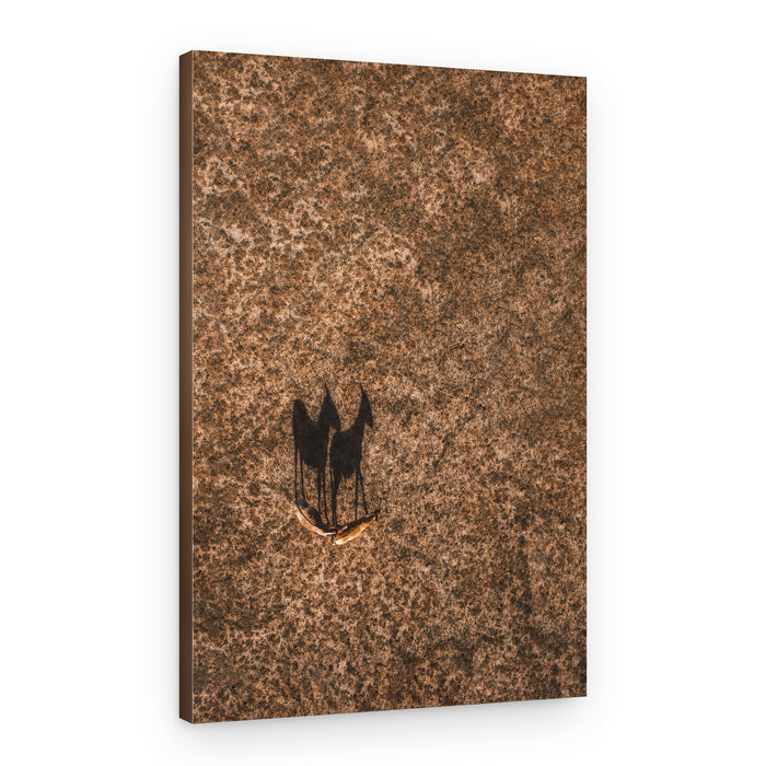Desert Animal Shadows – Canvas Print