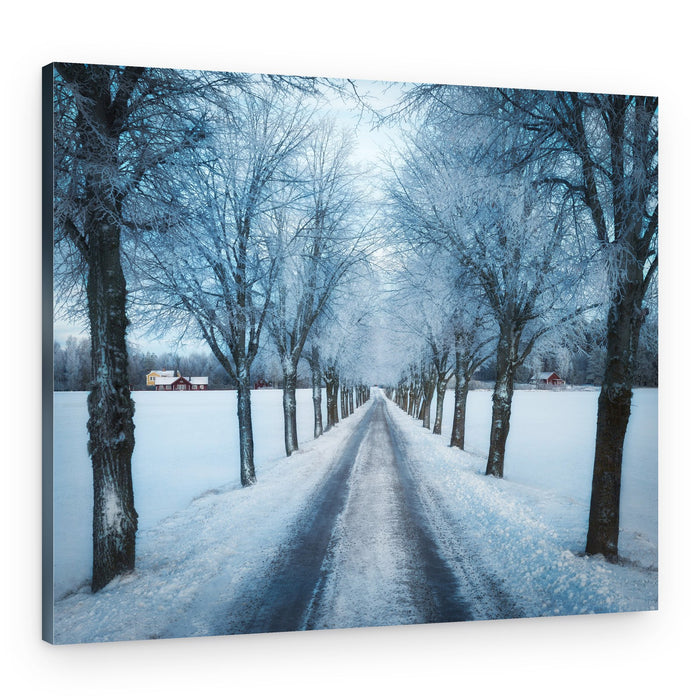 Winter Frosty Country Road – Canvas Print