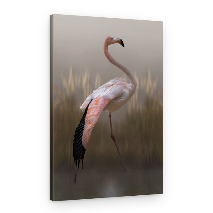 Graceful Flamingo – Canvas Print