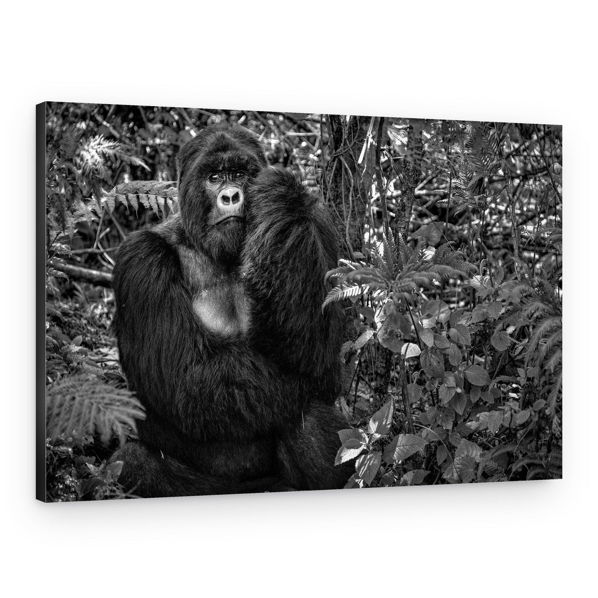 Powerful Gorilla Portrait – Canvas Print