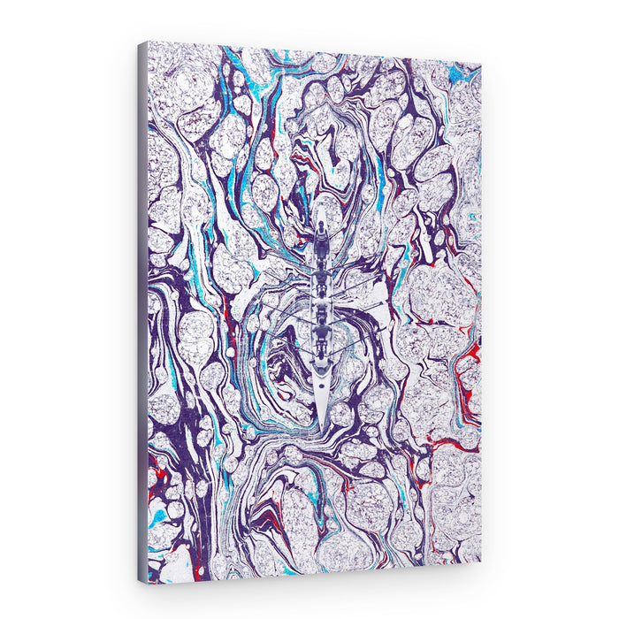 Marbled Crew Race – Canvas Print