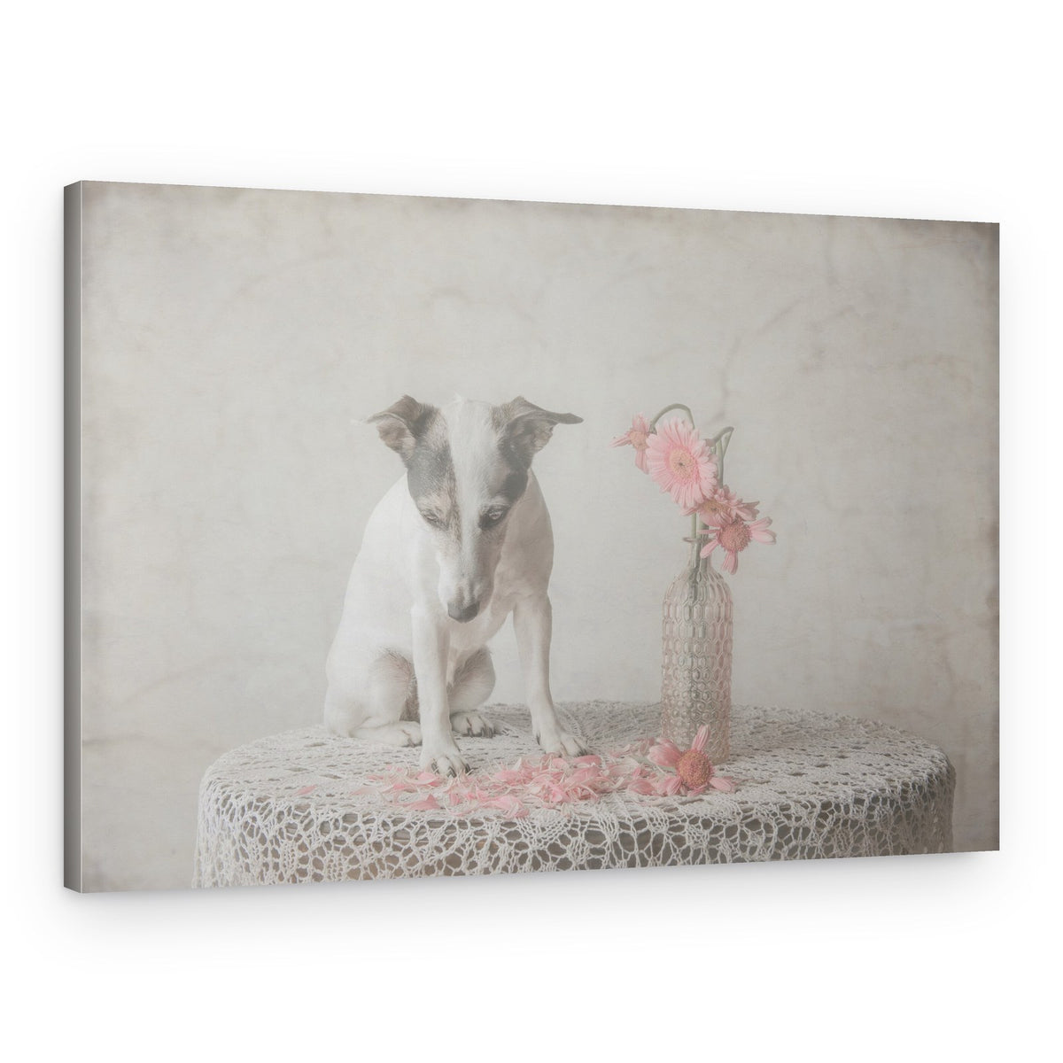 Innocent Dog Moment – Canvas Print