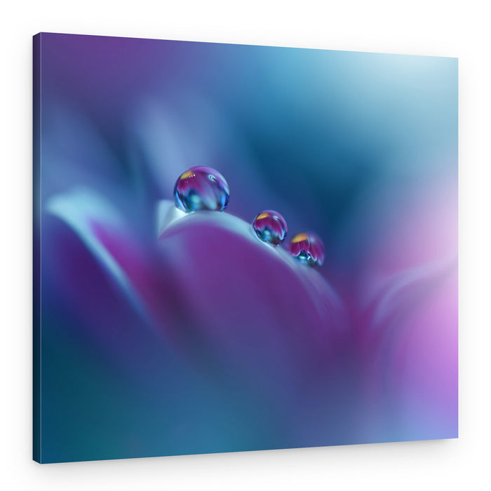 Memories of Sea..III – Canvas Print