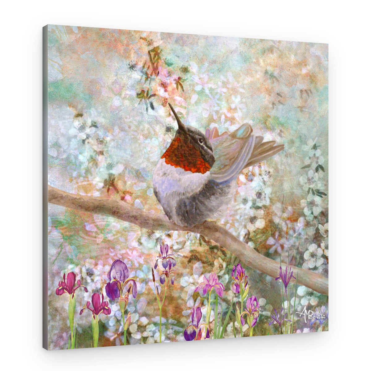 Hummingbird In Bloom – Canvas Print