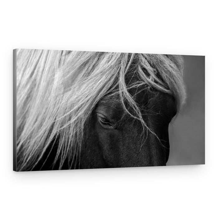 Majestic Horse Portrait – Canvas Print