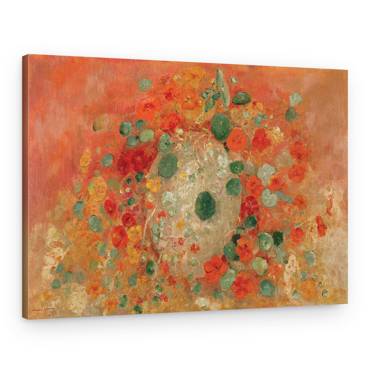 Nasturtiums – Canvas Print