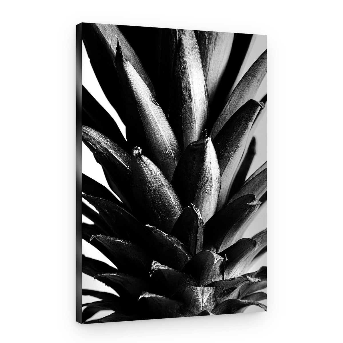 Bold Pineapple Texture – Canvas Print