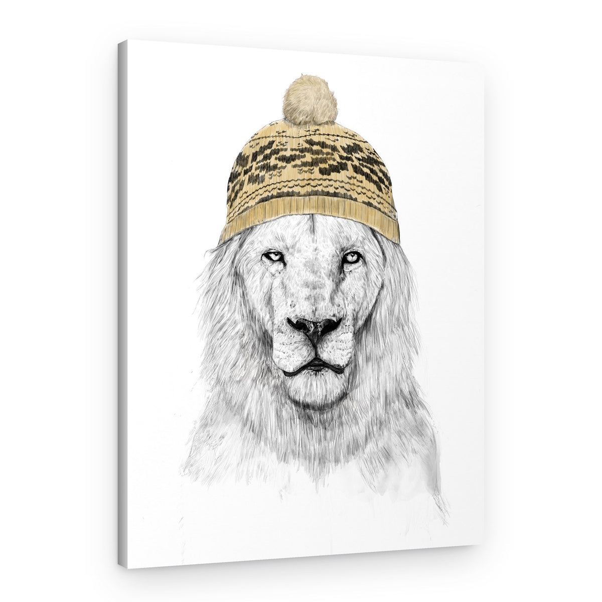 White Lion Beanie – Canvas Print