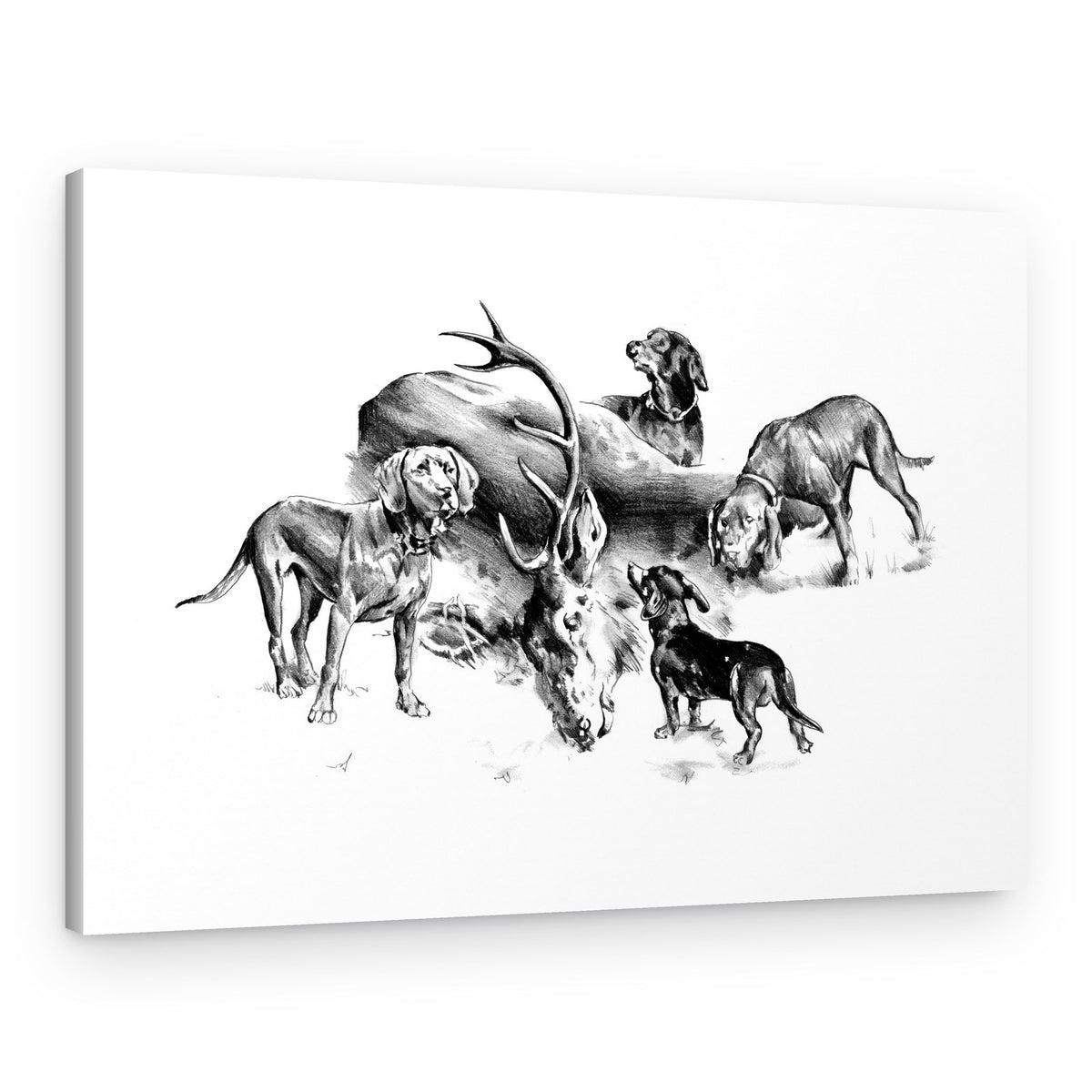 Hunting Dogs and Stag – Canvas Print