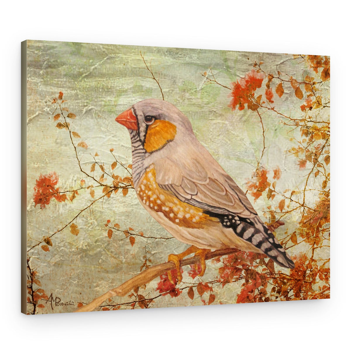 Zebra Finch on Branch – Canvas Print