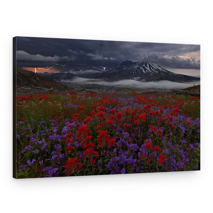 Thunderstorm Mountain Wildflowers – Canvas Print
