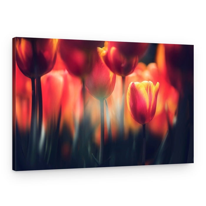 Vibrant Garden Tulips – Canvas Print