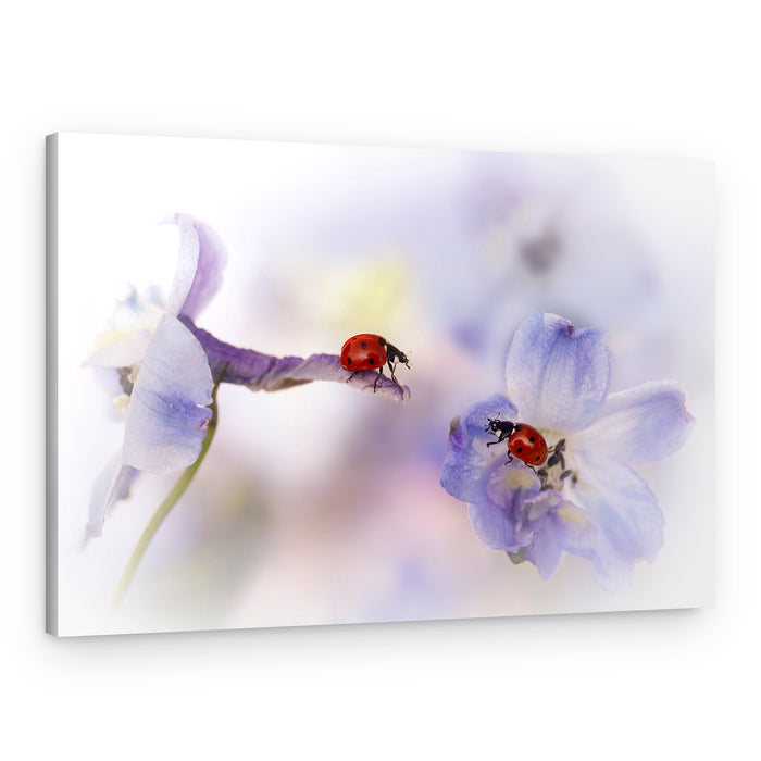 Ladybugs on Lavender – Canvas Print